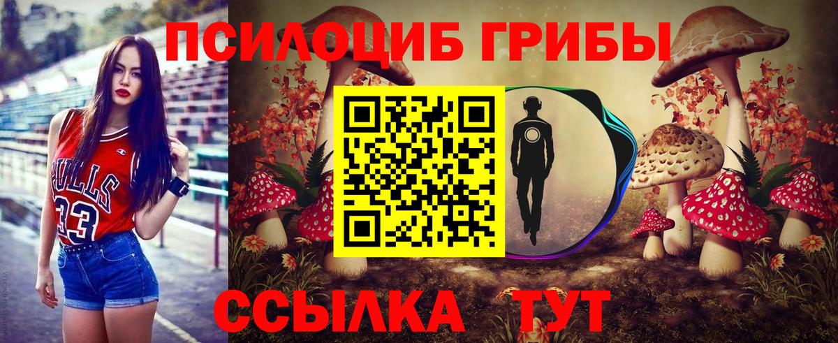 Псилоцибиновые грибы мухоморы  Галлюциногенные грибы GOLDEN TEACHER  Тихорецк  Вход с VPN 